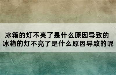 冰箱的灯不亮了是什么原因导致的 冰箱的灯不亮了是什么原因导致的呢